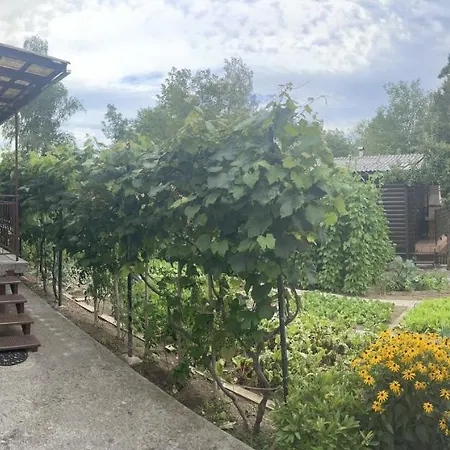 Apartma Sohen * Kocevje