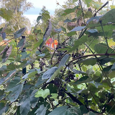 Apartma Sohen 아파트 *