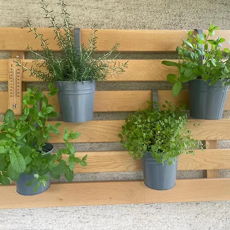 Apartma Sohen Appartement *