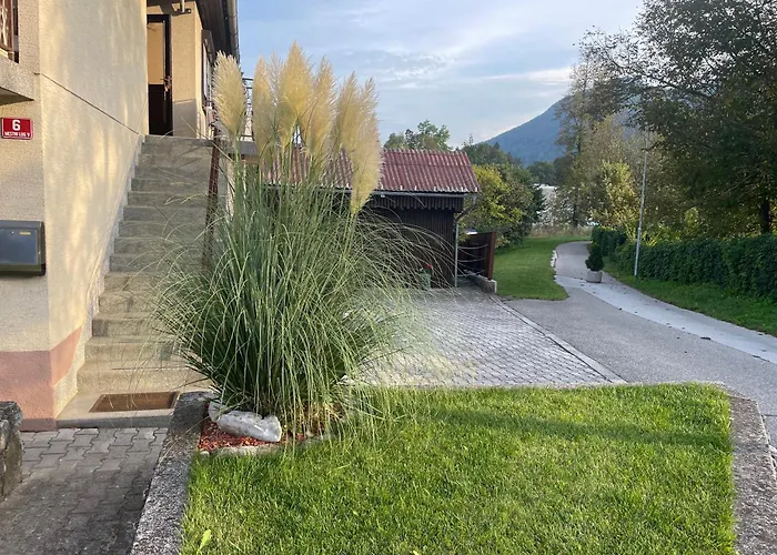 Apartma Sohen Daire Kocevje