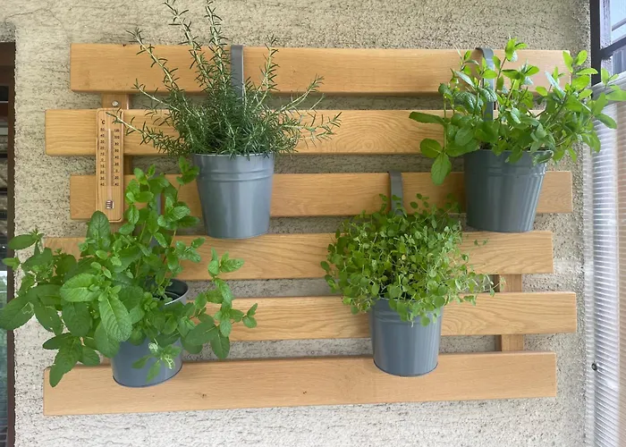 Apartma Sohen Daire *